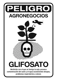 Glifosato: alertan por una exposición mayor a la prevista y un riesgo creciente para la salud, con impacto crítico en enfermedades raras
