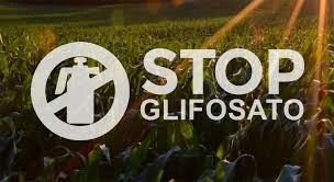 De importancia para la salud de todos: la Unión Europea anuncia cambios normativos en el uso de glifosato.
