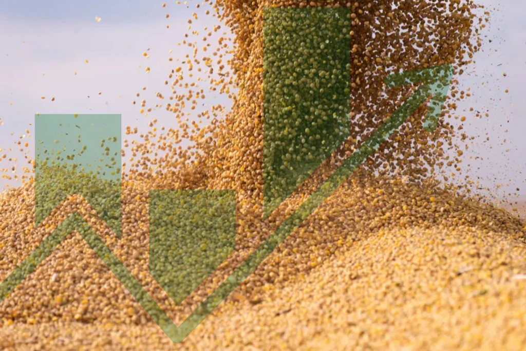 Mercado de soja en movimiento: el rol de la molienda y la eficiencia industrial en un escenario de nuevas oportunidades