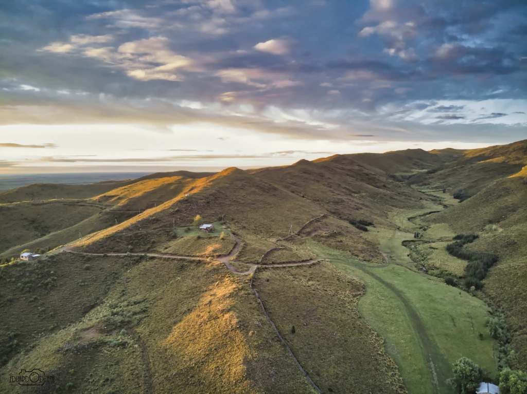 DJI0041-(3590).webp