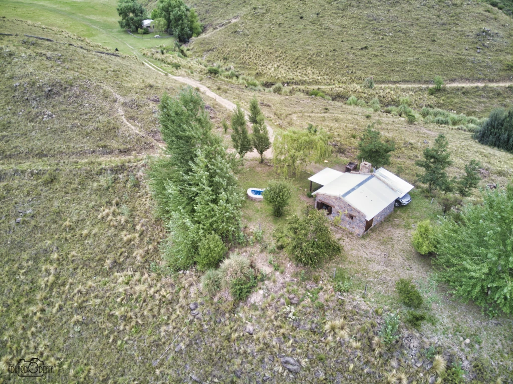 DJI0282.webp