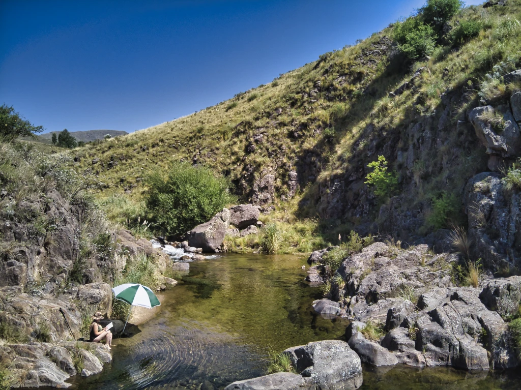 DJI0353.webp
