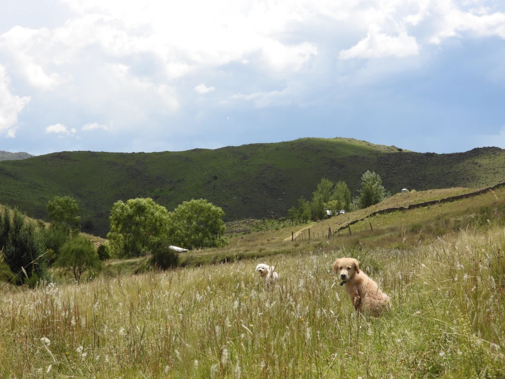 DSCN1012.webp