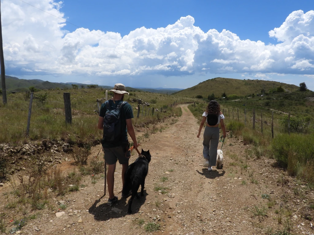DSCN1027.webp