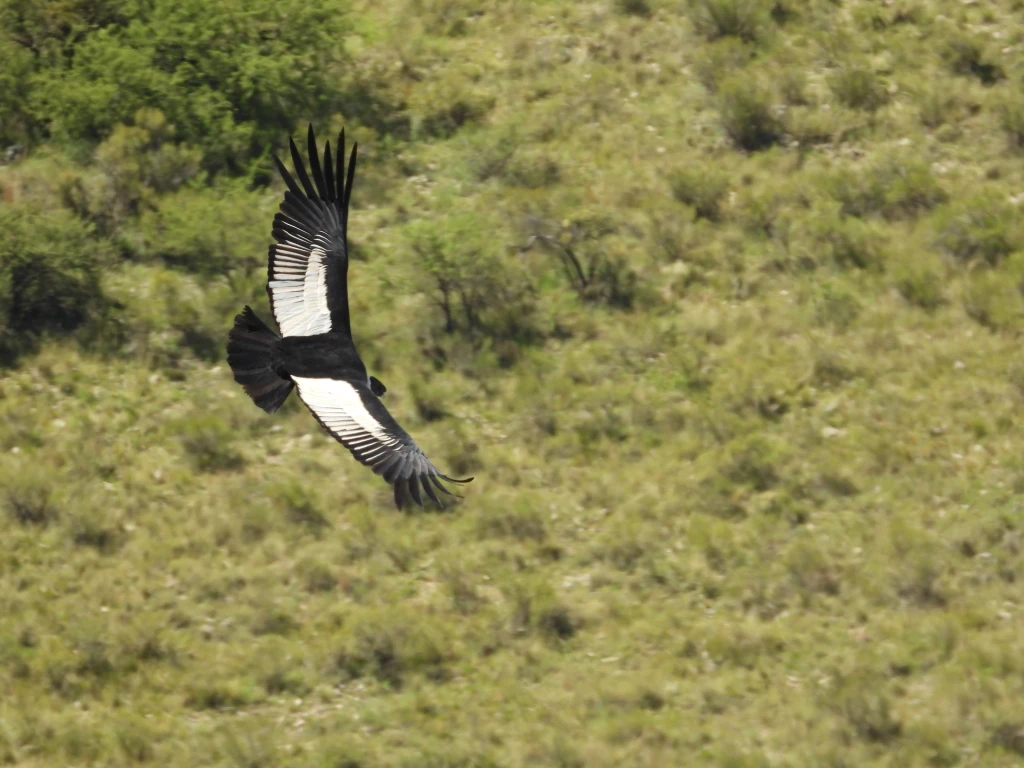 DSCN1406.webp