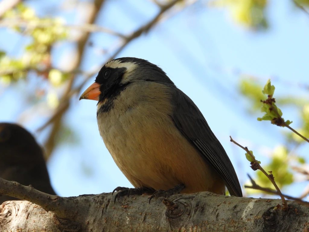 DSCN2333.webp