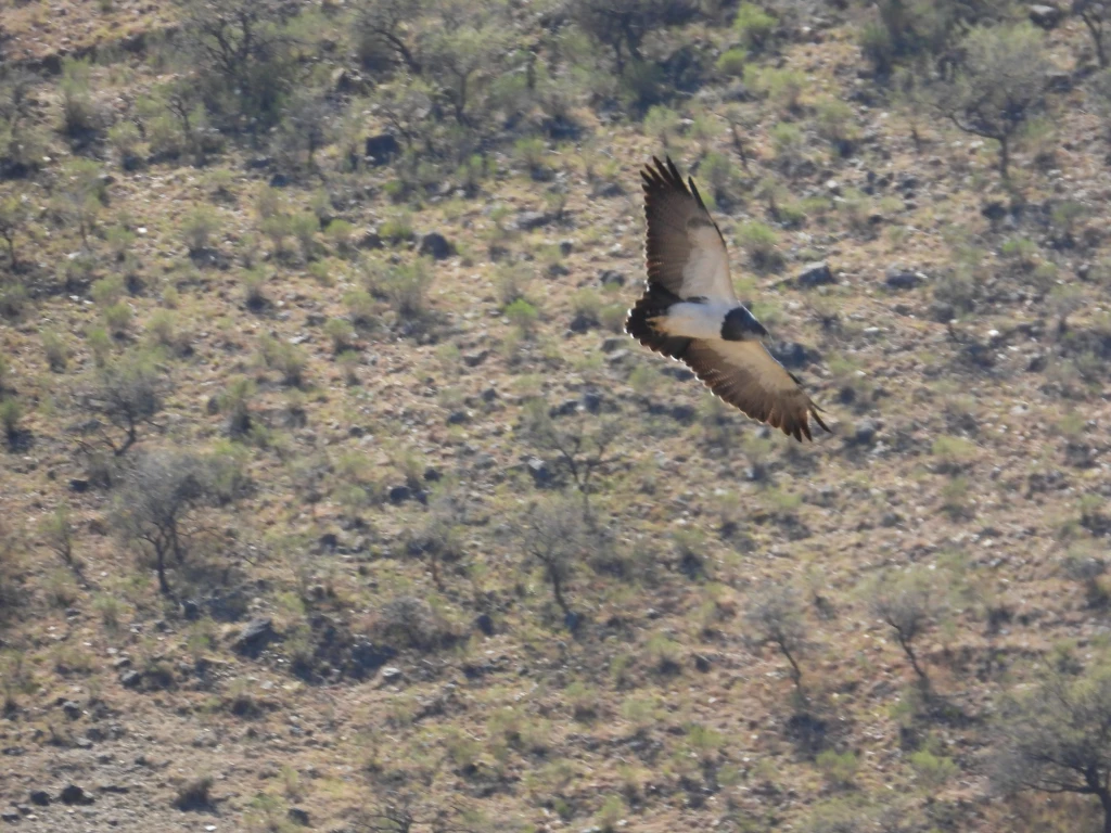 DSCN2386.webp