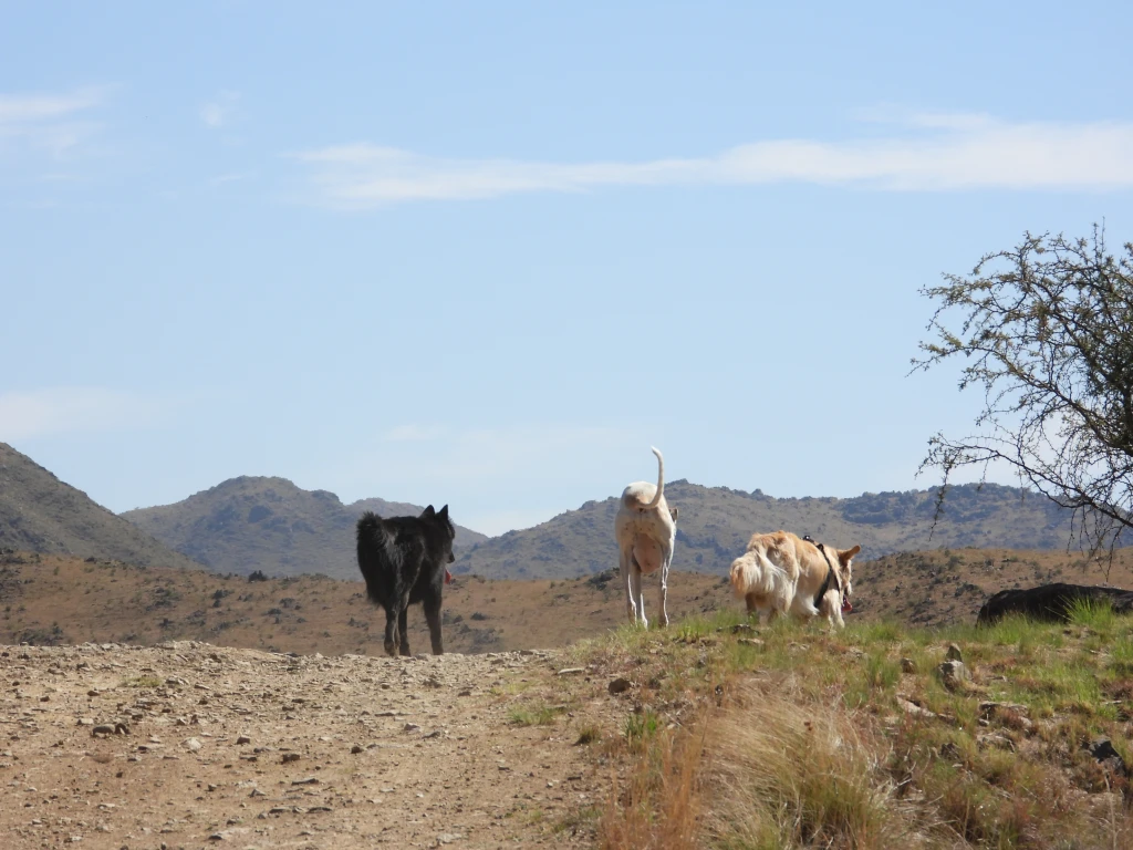 DSCN2509.webp