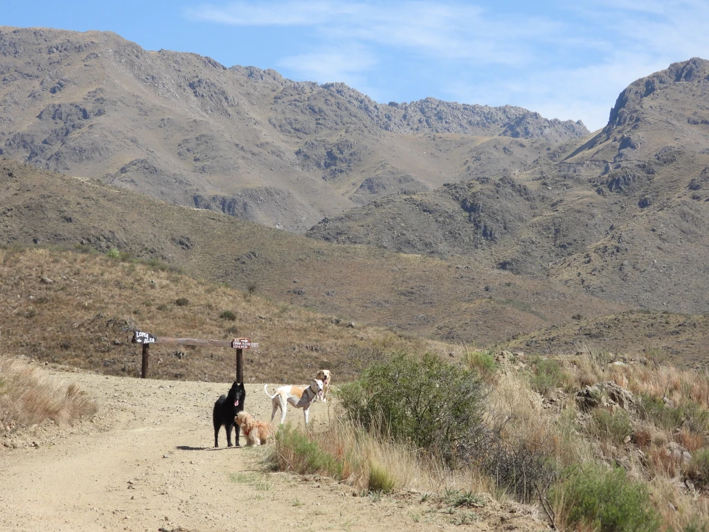 DSCN2513.webp