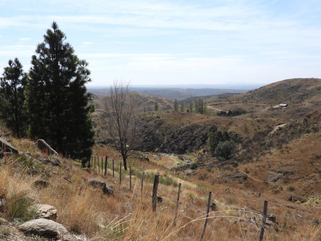 DSCN2541.webp