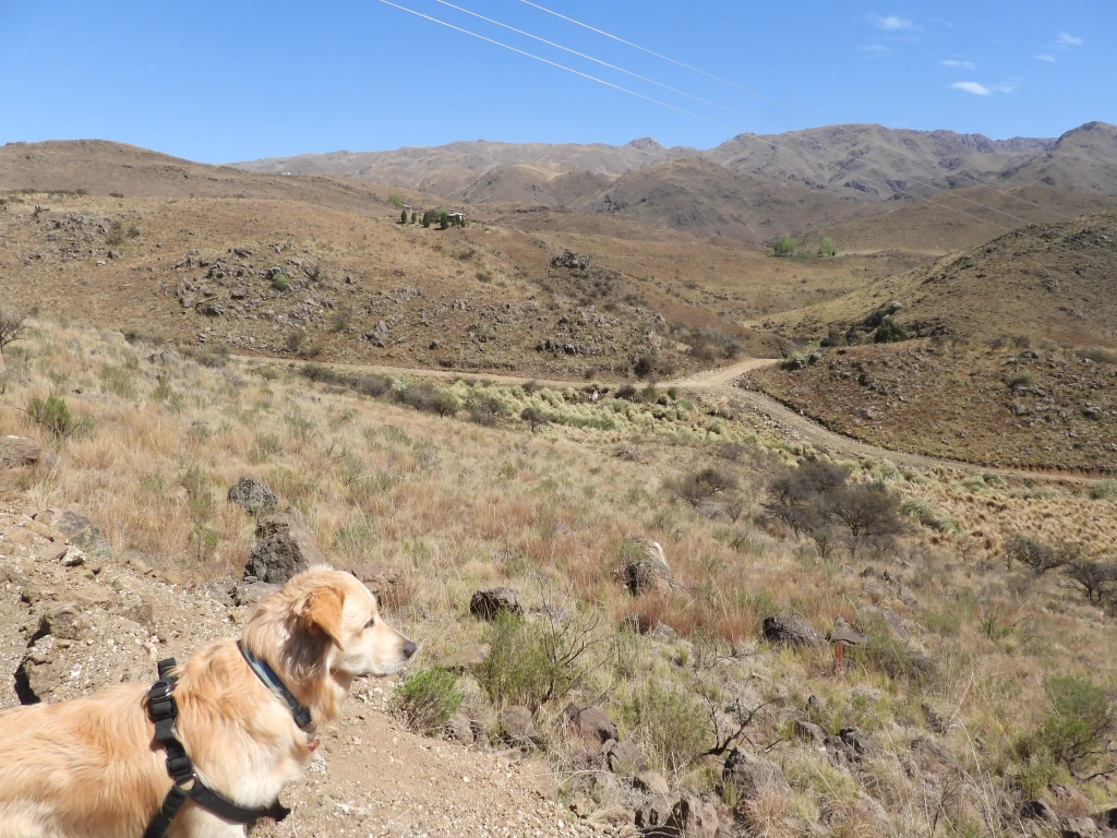 DSCN2549.webp