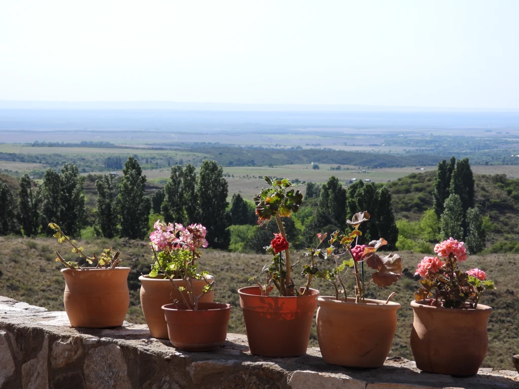 DSCN2737.webp
