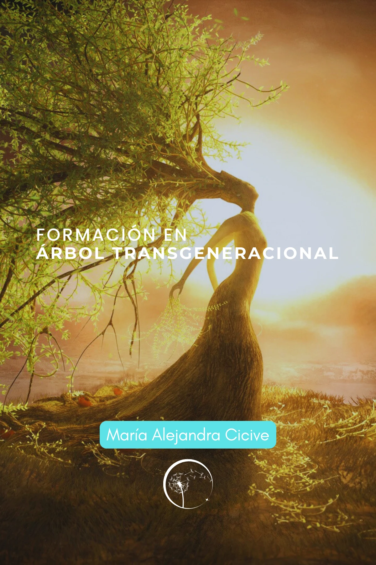 carreteinicialarbol-(9370).webp