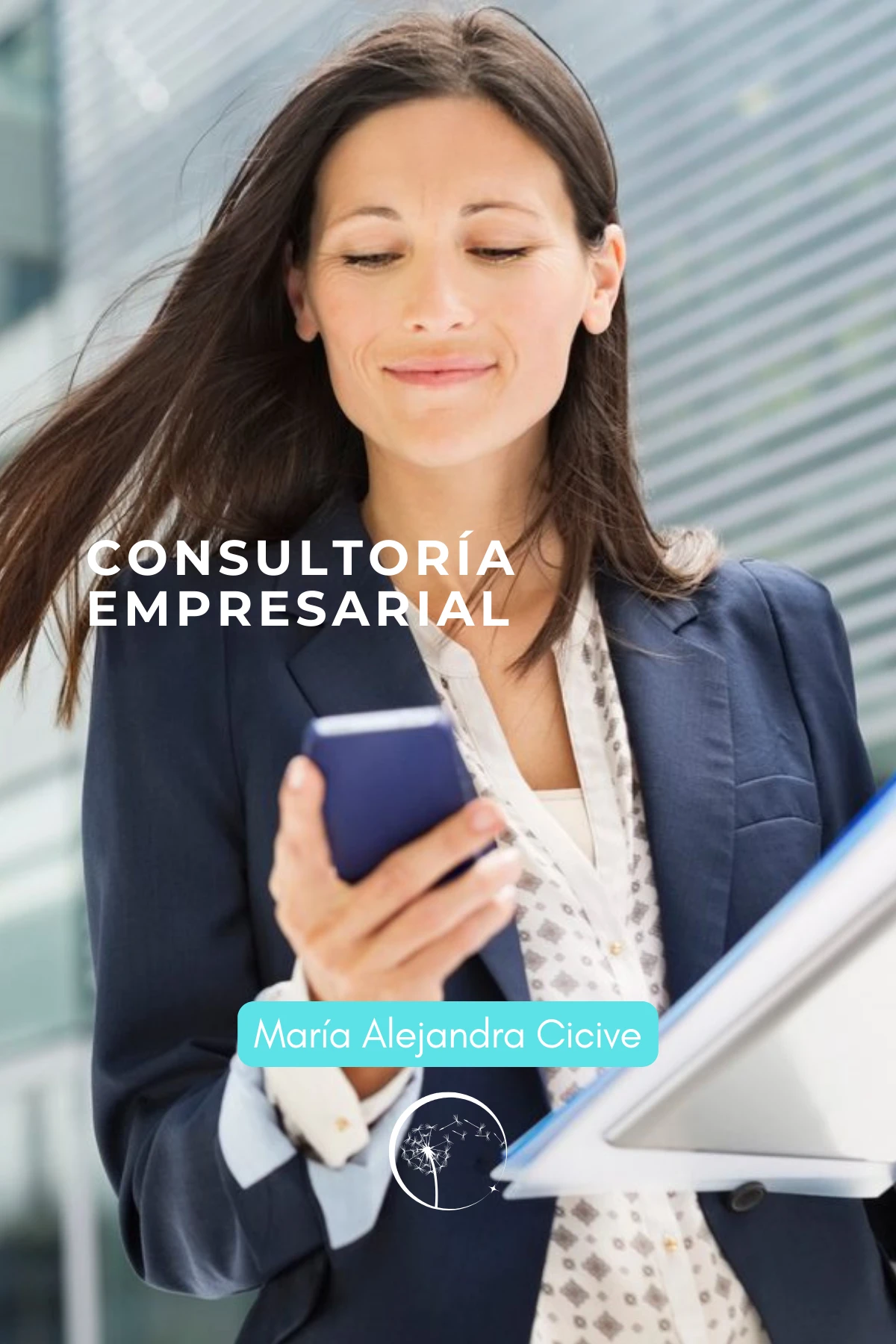 carreteinicioconsultoriaempresarial.webp