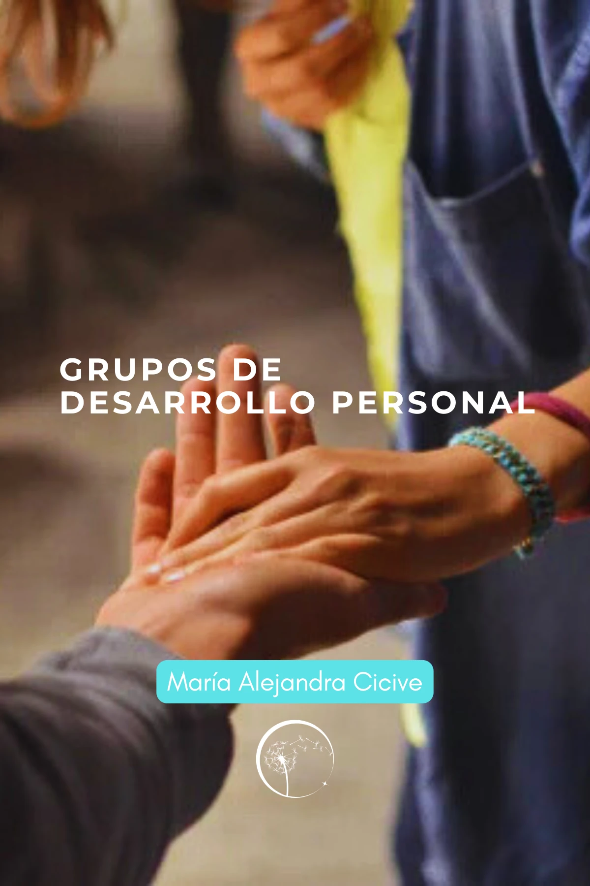 carreteiniciogrupo.webp