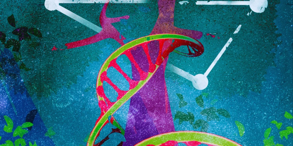 Biodecodificacion Maria Alejandra Cicive