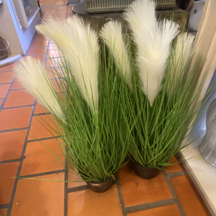 #