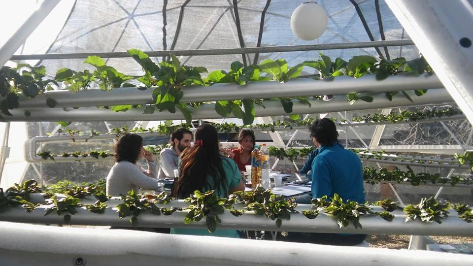 Características generales de las plantas