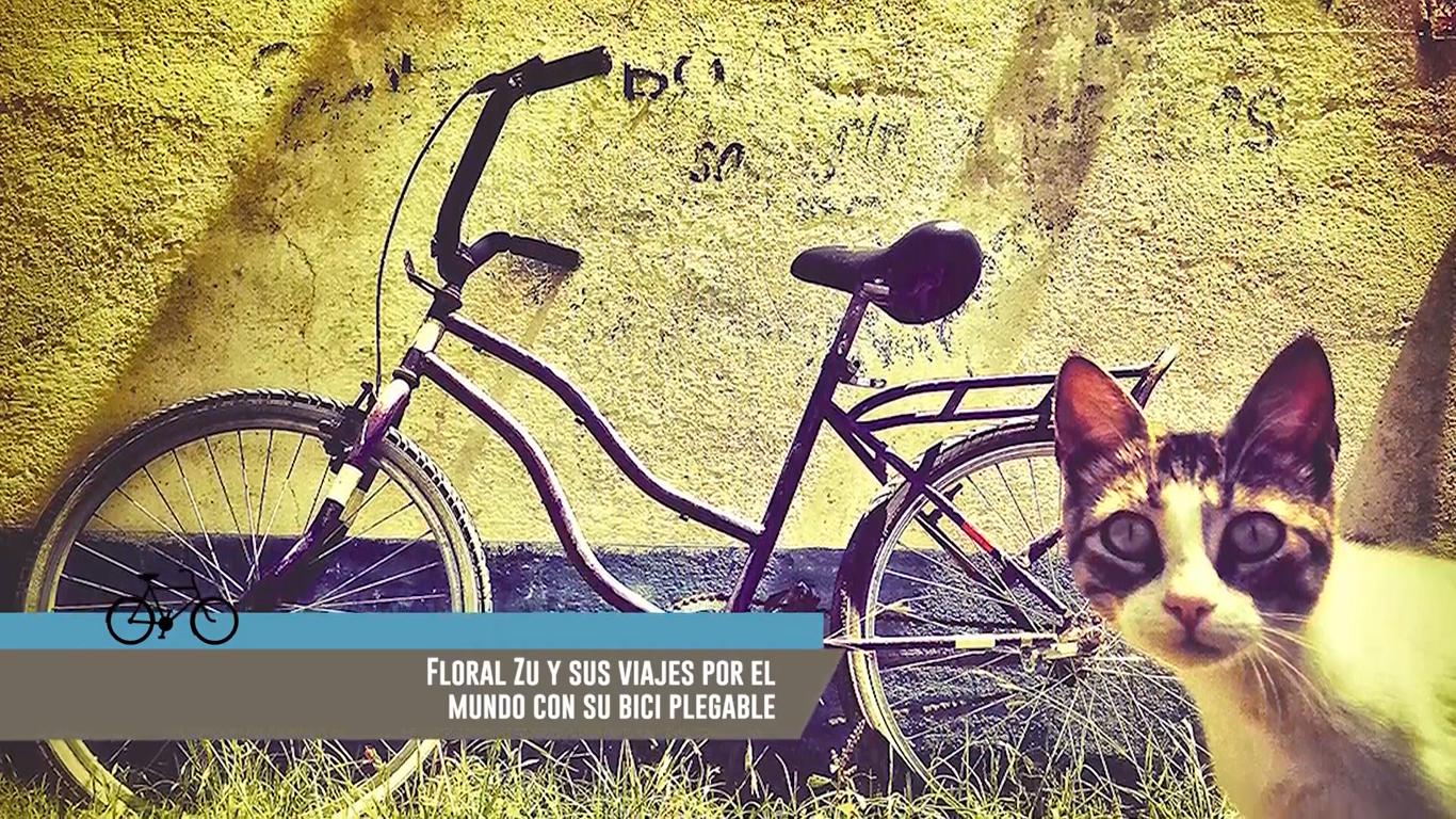 Bicicletas en foco