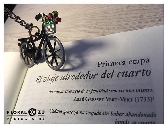 Arte en bicicleta