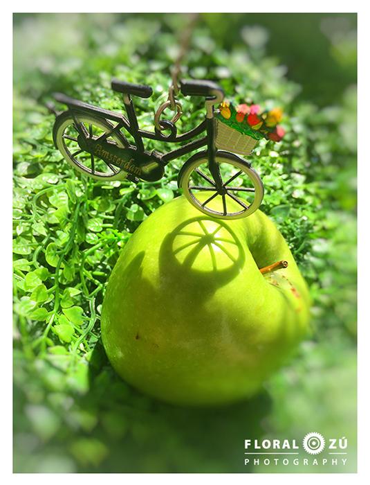 Arte en bicicleta