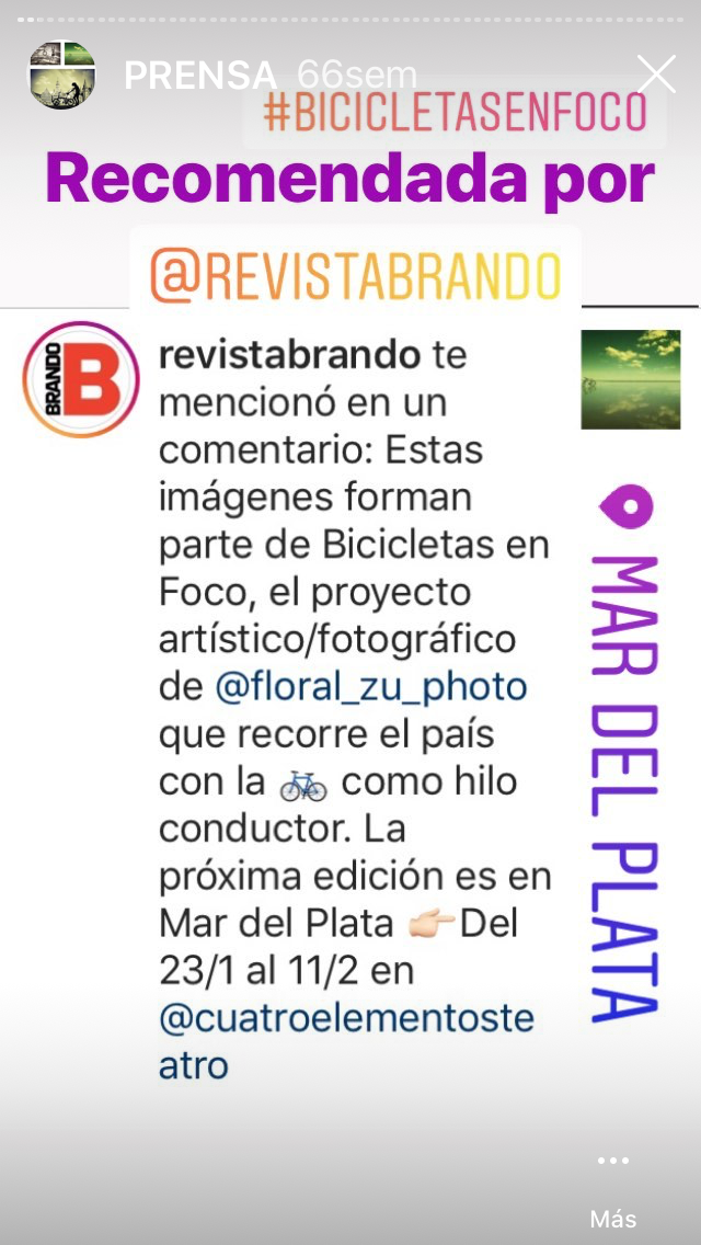 Bicicletas en Foco