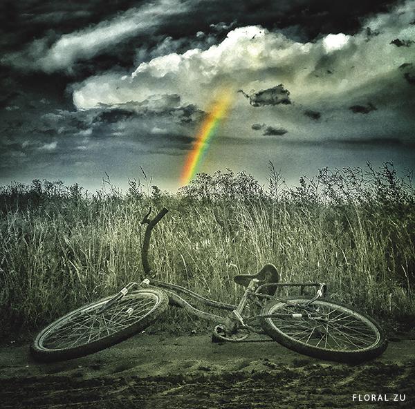Bicicletas en Foco