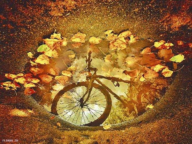 Bicicletas en Foco