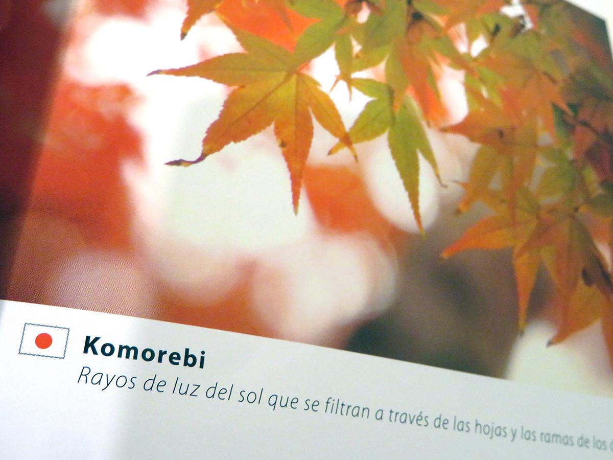 Japon desde mi bicicleta