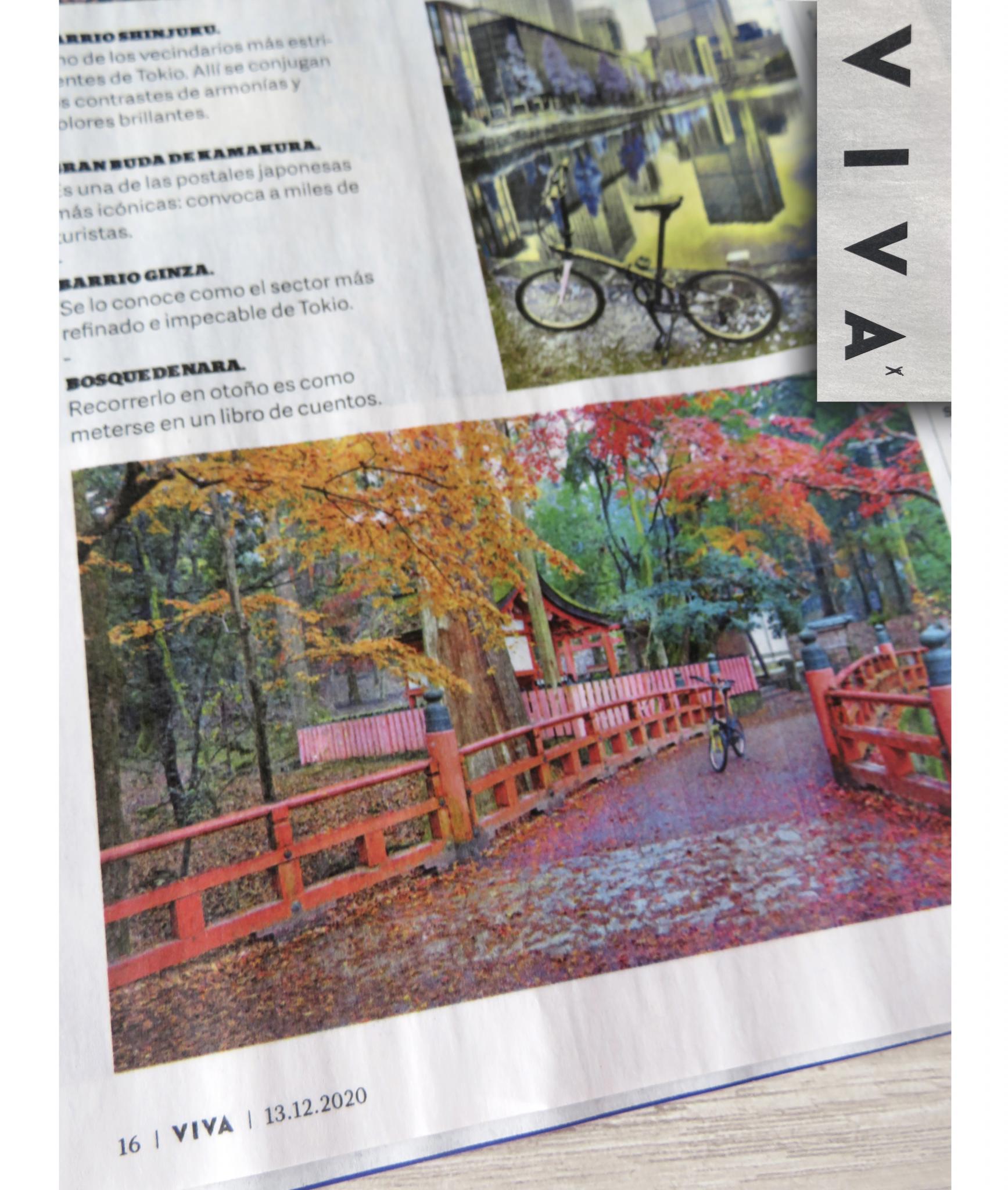 Revista Viva