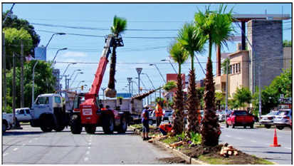Camión de transporte