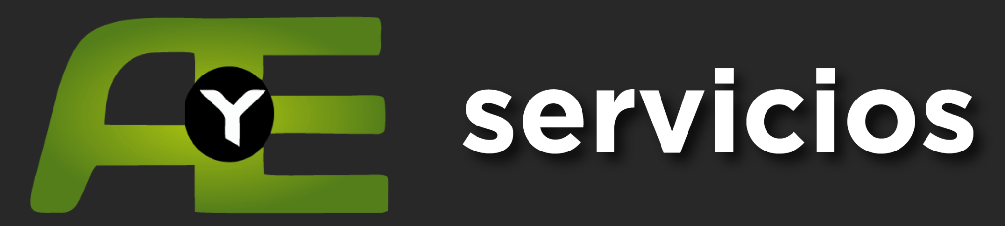 A Y E SERVICIOS