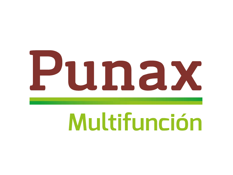 logo-punax-bordo-baja.webp