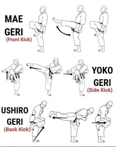 Geri – Kicking Techniques