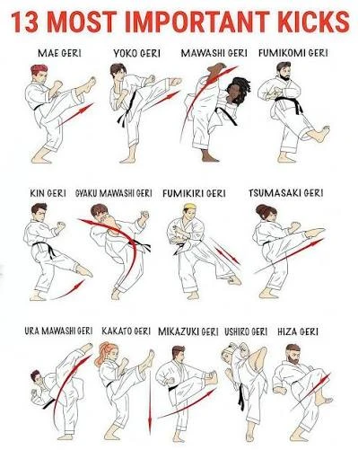 Geri Waza – 13 Important Kicks