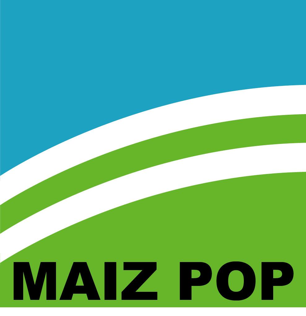 Maiz Pop
