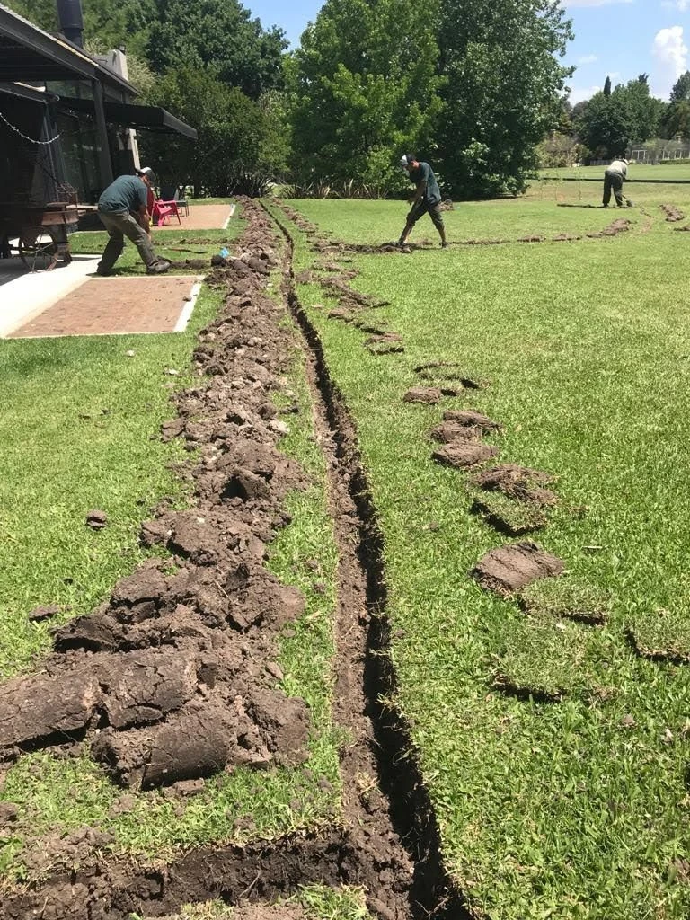 Zanja de riego con los panes de césped levantados para reponerlos