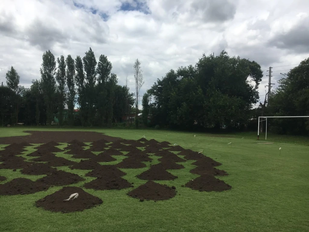 Montículos de tierra negra marcados con estacas para nivelar la cancha de fútbol, Castelar