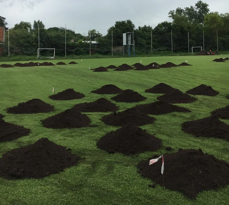 Tierra negra distribuida en montículos con estacas de nivel en la cancha del Instituto Inmaculada, Castelar