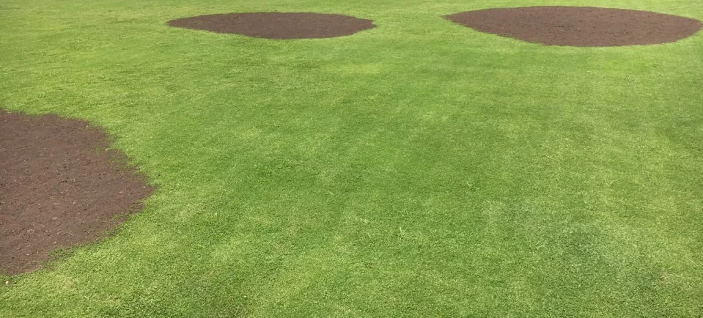 Cancha de césped verde y pareja con las zonas tratadas integradas, Instituto Inmaculada, Castelar