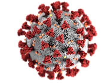 red and grey coronavirus cell