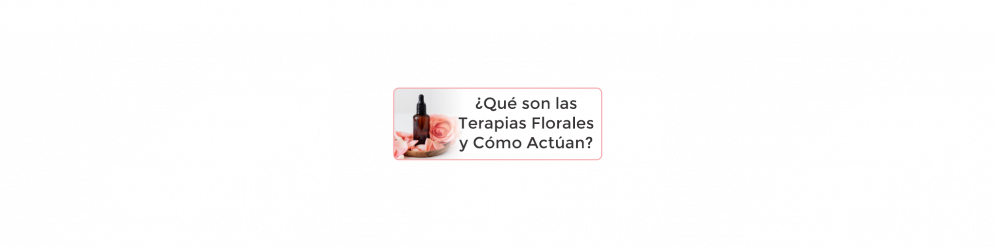¿Qué son las Terapias Florales y Cómo Actúan?