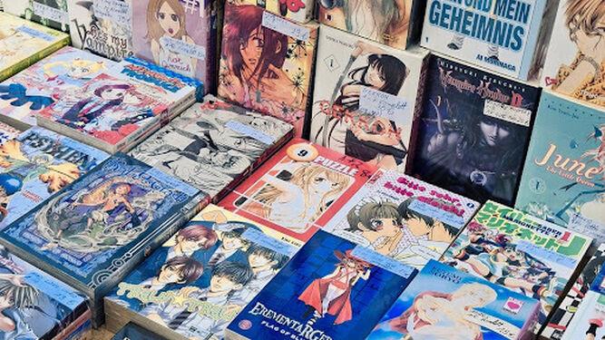 Furor Manga