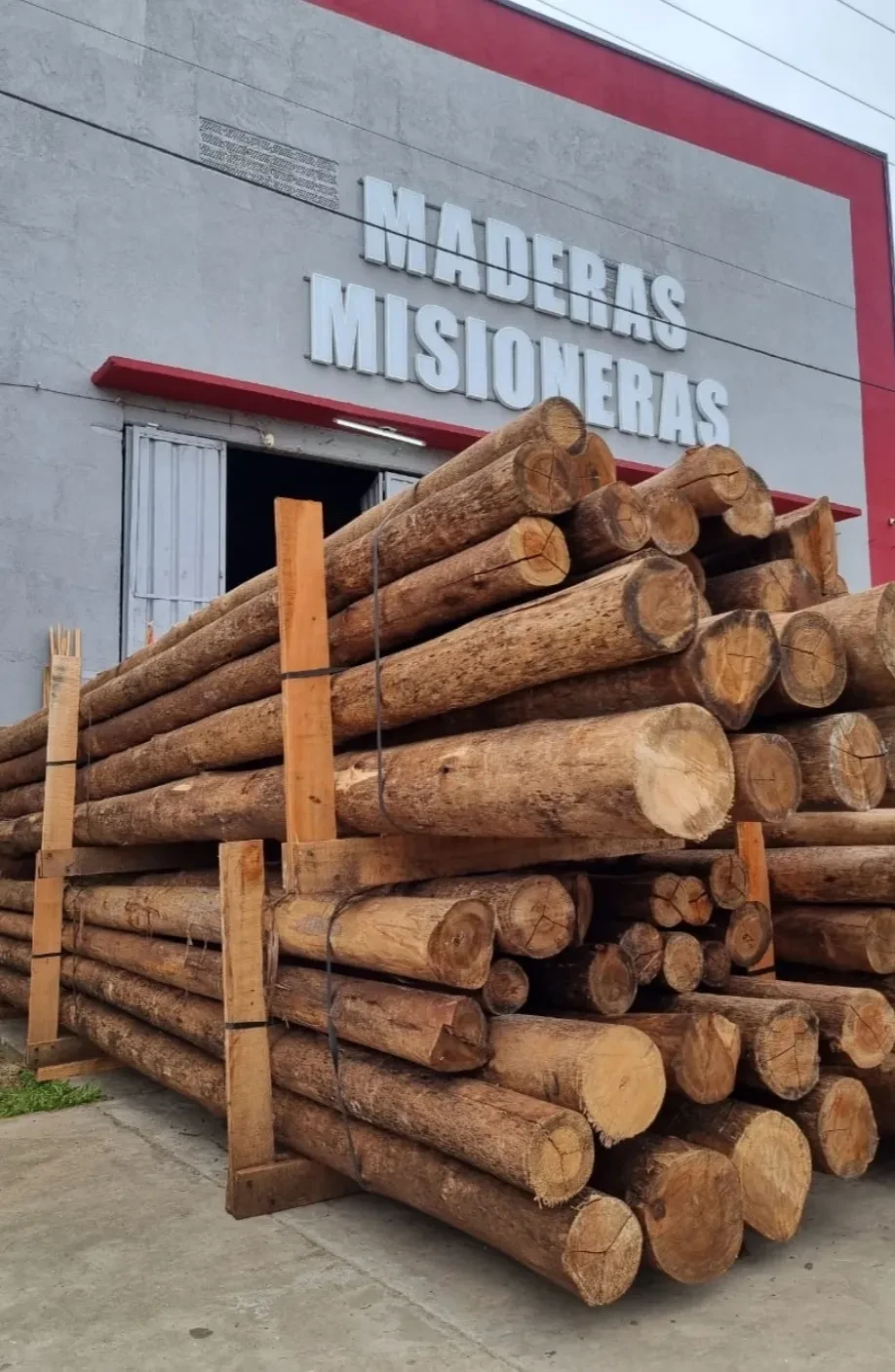 Taller de carpintería con madera seleccionada