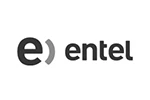 Entel.webp