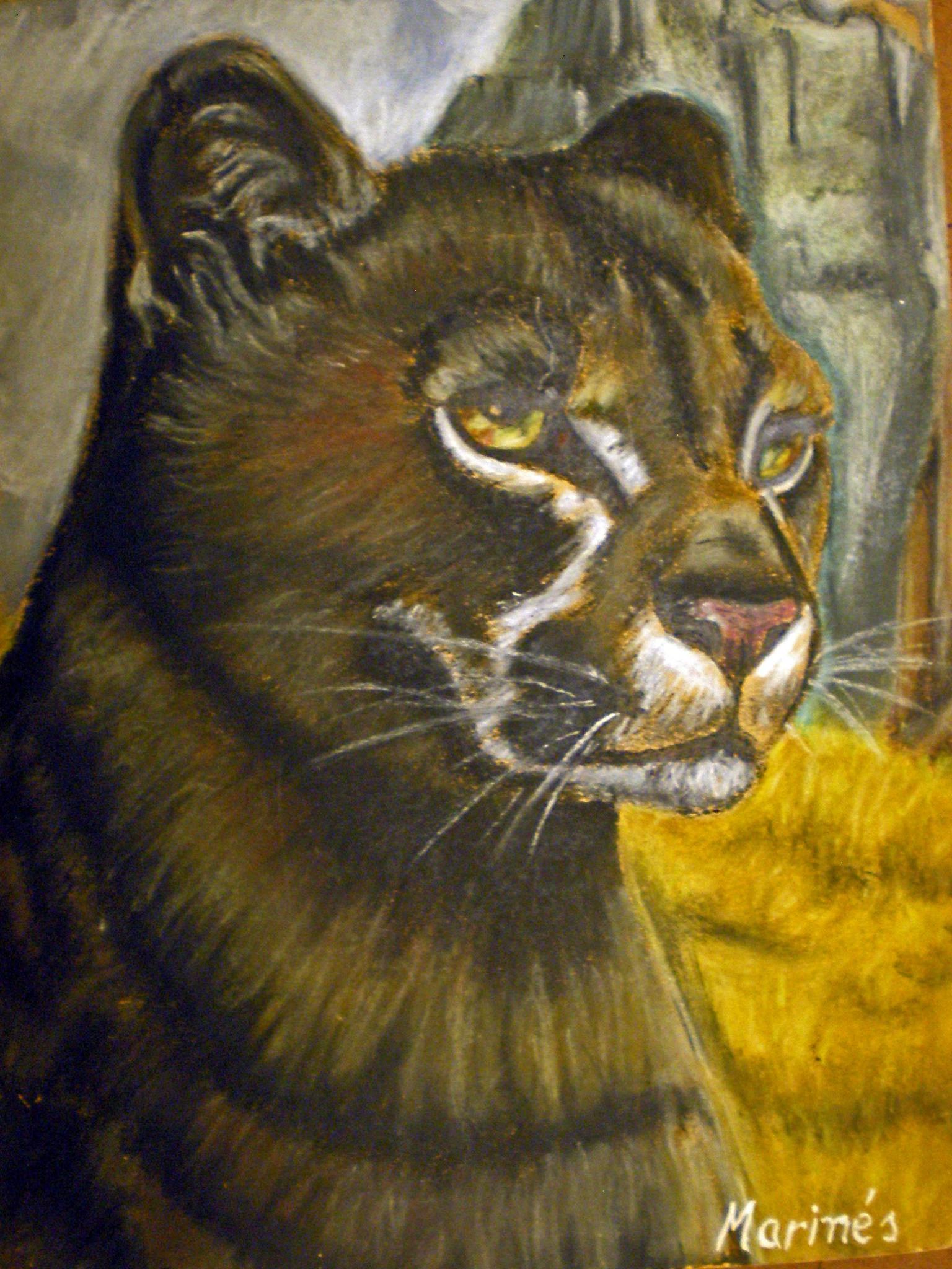 Pastel tiza, 25x20 cm.