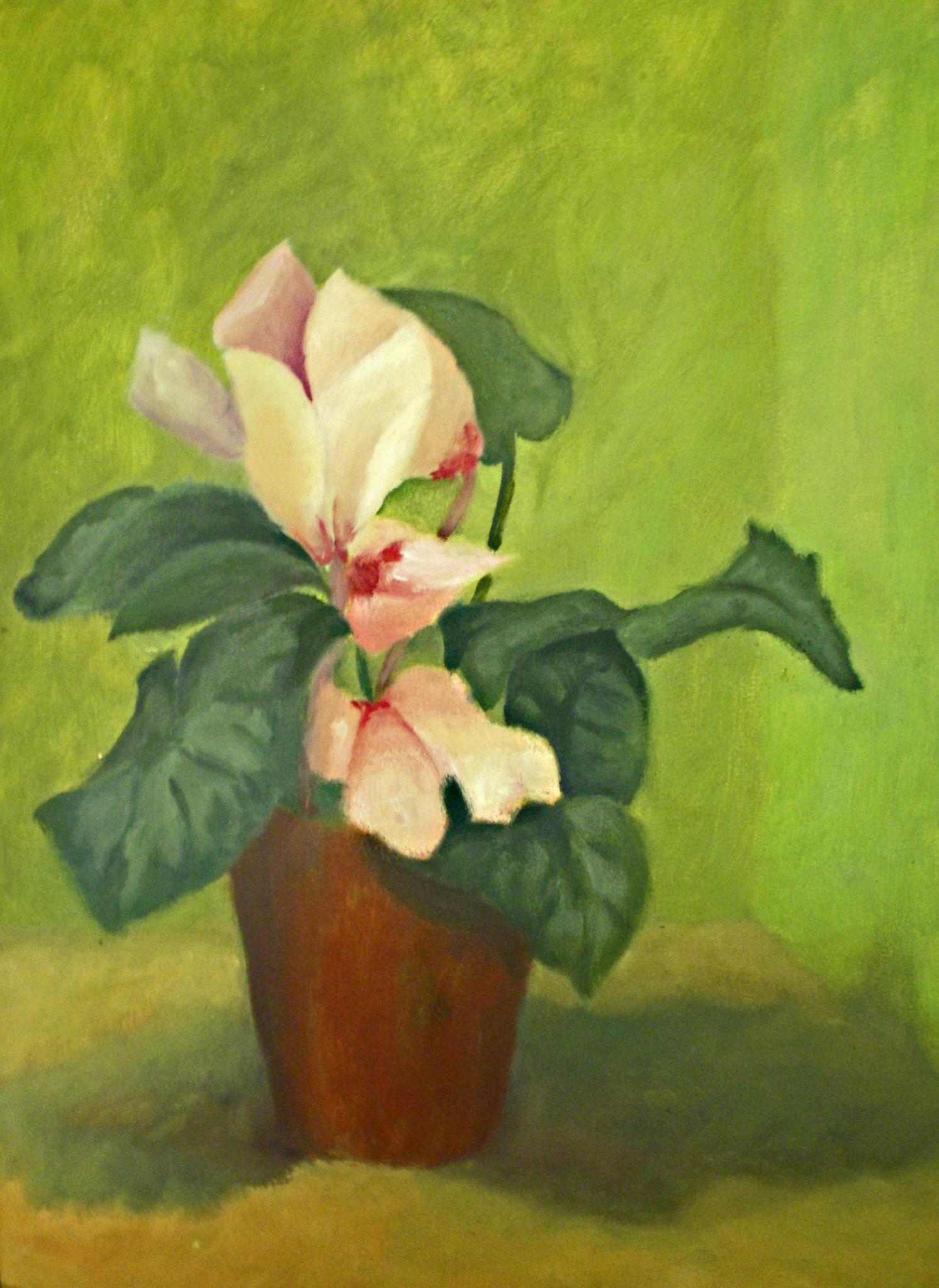 Óleo, 40x30 cm.