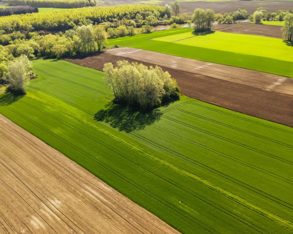 Comprar o arrendar campo en Uruguay: guía con precios y datos 2025