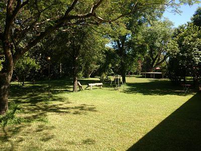 parque y árboles frondosos