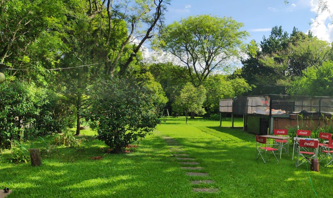 parque verde natural